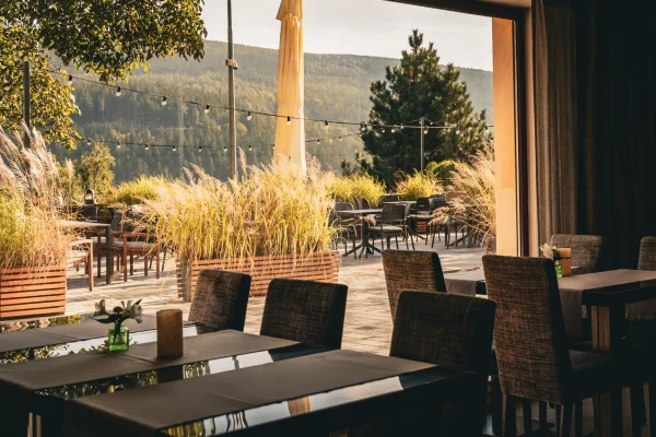 Restauracja hotelu Biały Kamień z widokiem przez przeszklenie na taras z trawami ozdobnymi i zalesione zbocze